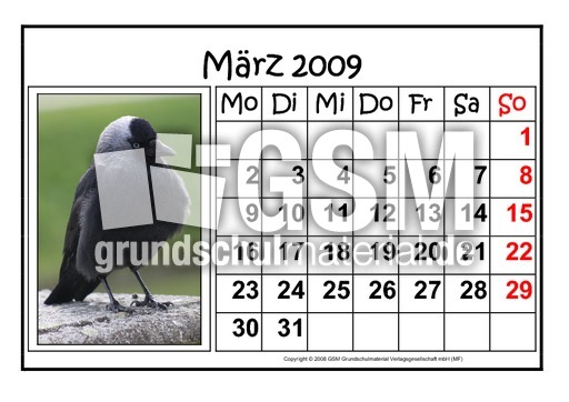 3-März-2009-quer.pdf
